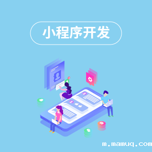 上海小程序开发